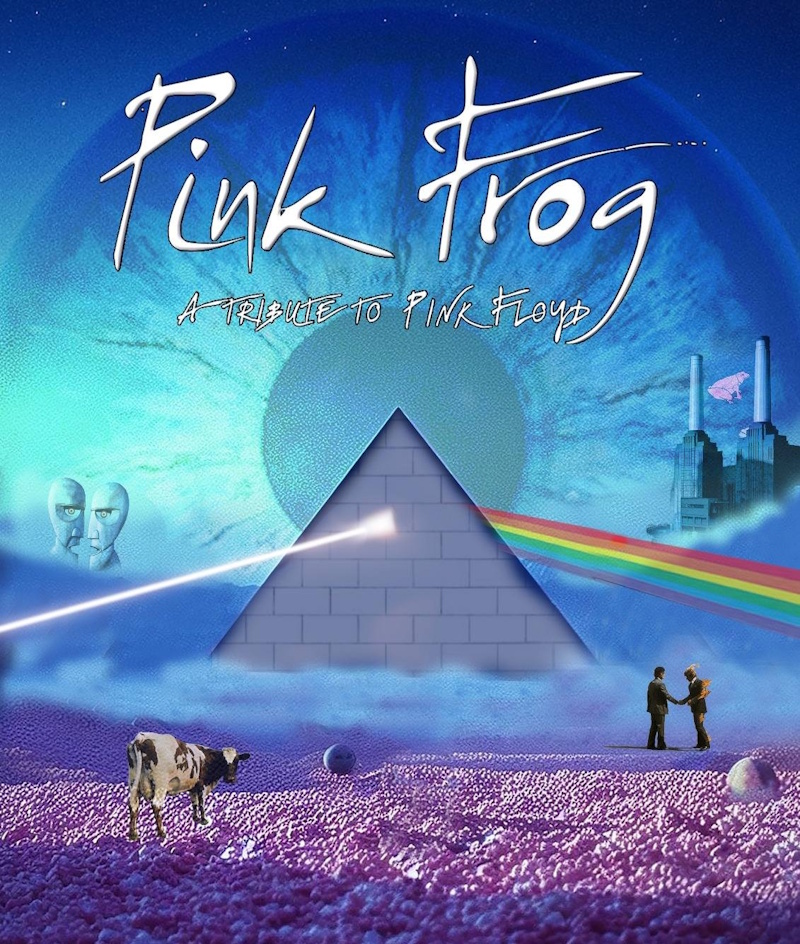 Pink Frog : « Ça sonne. »