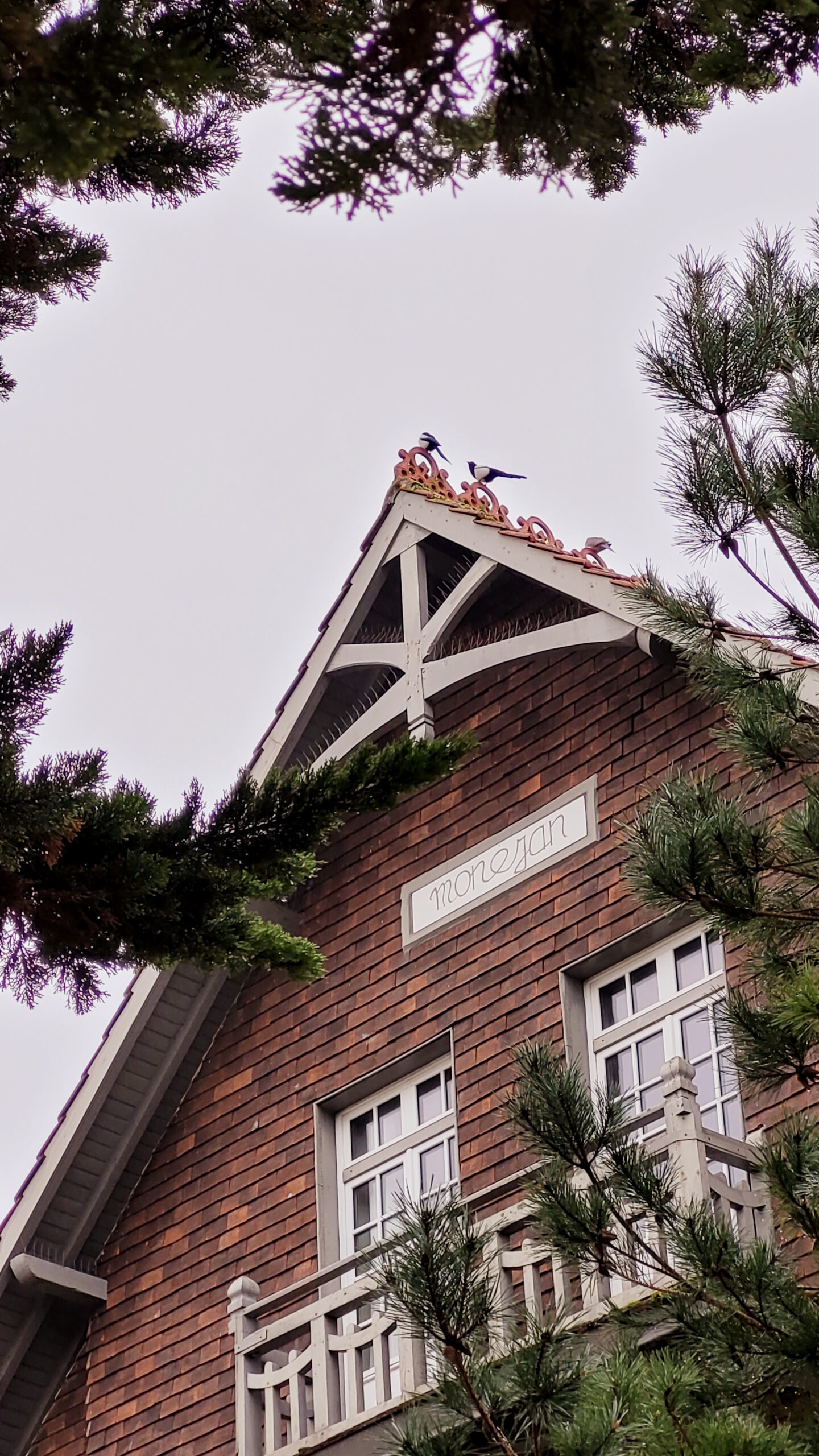 Villa Monéjan : « Bienaimé m’a fait voir le jour, bien aimée pour toujours. »